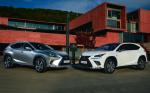 Lexus NX300h F-Sport 2017 года (WW)